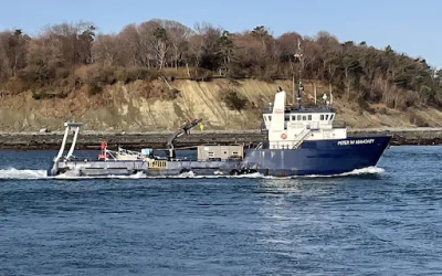 Operations and Maintenance Support for Offshore Wind Farms: The Marine Contractor’s Role