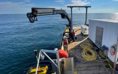 AUV Support and Vessel Integration: Lessons from Two Decades with Bluefin Robotics